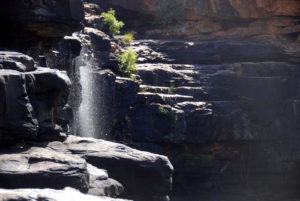 At Manning Gorge.