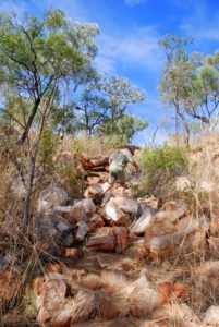 The track to/from Manning Gorge.