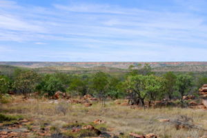 On the way in to Manning Gorge.