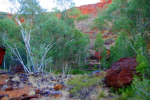 At the bottom of the gorge approaching Circular Pool