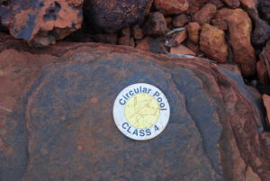 Track marker