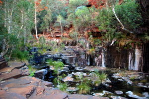Circular Pool.