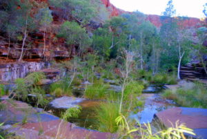 Circular Pool