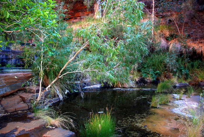Circular Pool.