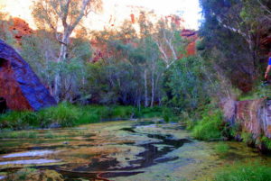 At Circular Pool.