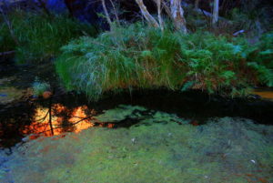 At Circular Pool.
