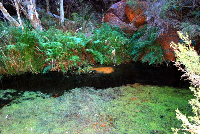 At Circular Pool.