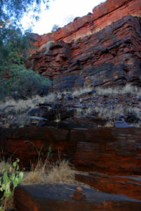 In Dales Gorge