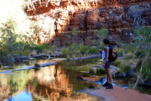 In Dales Gorge