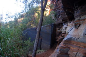 In Dales Gorge