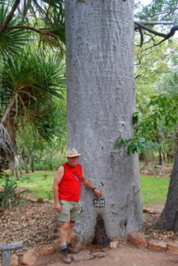 Tap inset in boab tree.