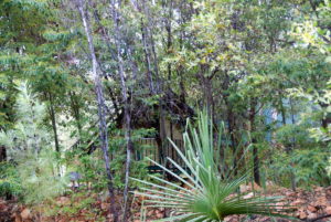 Emma Gorge Resort