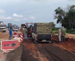 Ute bogged at roadworks.