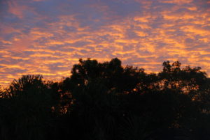 Kununurra sunset