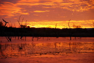 Sunset over Lake Kununurra.
