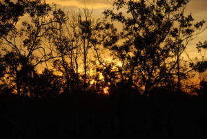 Smoke at sunset.