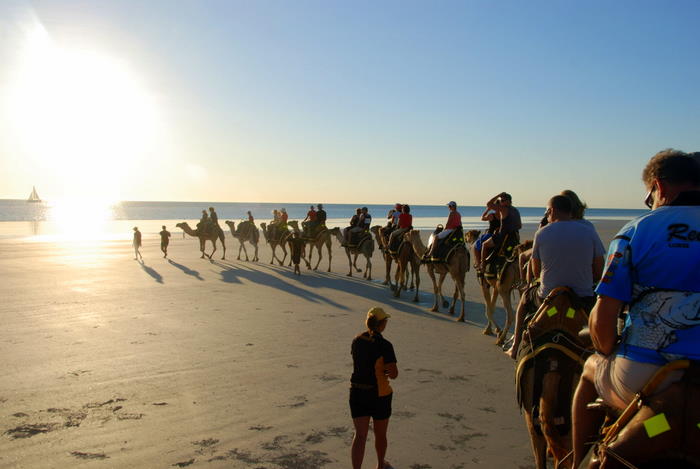 Camel convoy.