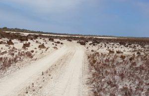 Start of the claypan.