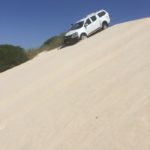 Greg descends the dune.