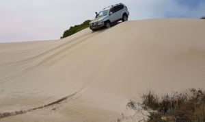 Jeff and Micaela in the Prado.
