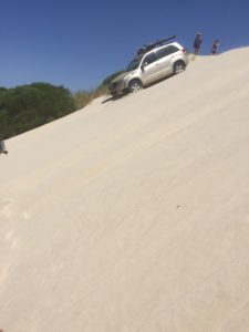 Phil descends dune.