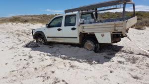 Bogged Rodeo ready to be snatched.