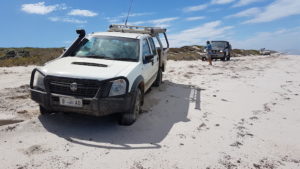 Bogged Rodeo ready to be snatched.