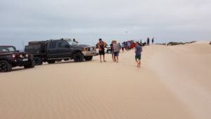 Vehicle line up on top of dune.
