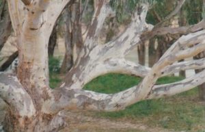At Echuca.