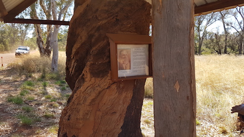 Gregory Tree near Condingup.