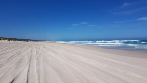 Warren Beach