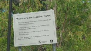 Welcome to Yeagarup Dunes.