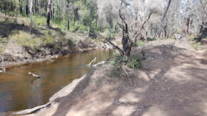 Camping spot on the banks of the Murray River