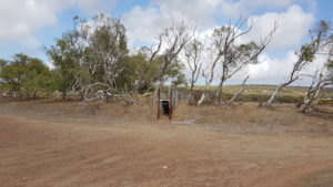 Culcurdoo goat trap.