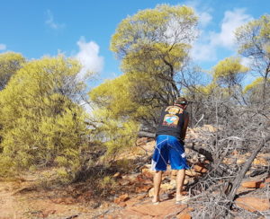 Joe wielding axe to remove tree. Note PPE.