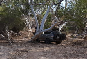 Joe's Y62 in the creek.