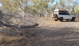 Mechanisation of firewood collection.
