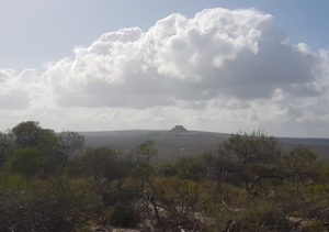 Mt Curious from the shortcut track.