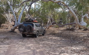 Joe had to leave the creek bed to get around this obstacle.