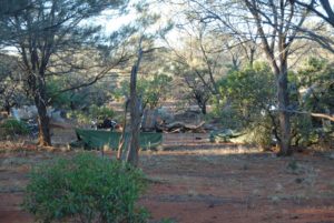 Campsite early morning.