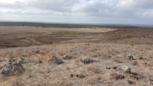Claypan near Gie Gee Outcamp.