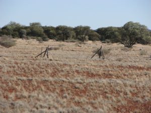 Murchison River floodout.