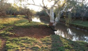Pool in the Murchison River.