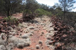 Two lines of rocks.