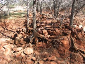 Unusual rock formation.