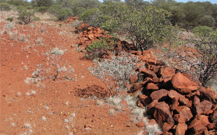 Line of rocks.