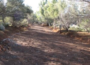 Upper Murchison River
