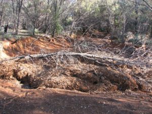 Upper Murchison River