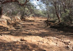 Upper Murchison River