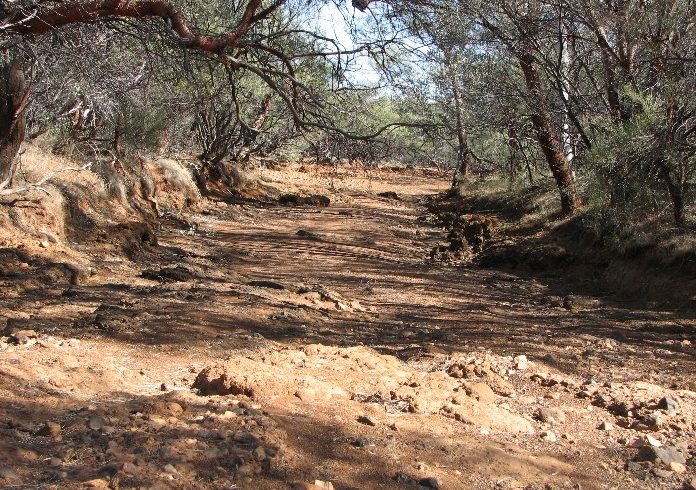 Upper Murchison River